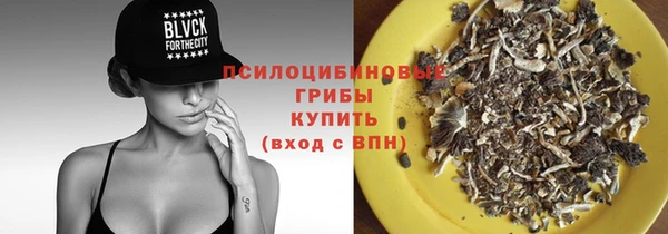 крисы Иннополис