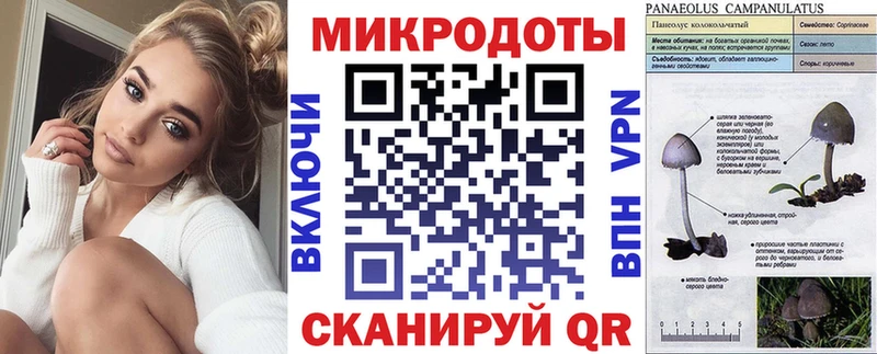Купить закладки  Сызрань  Галлюциногенные грибы GOLDEN TEACHER 